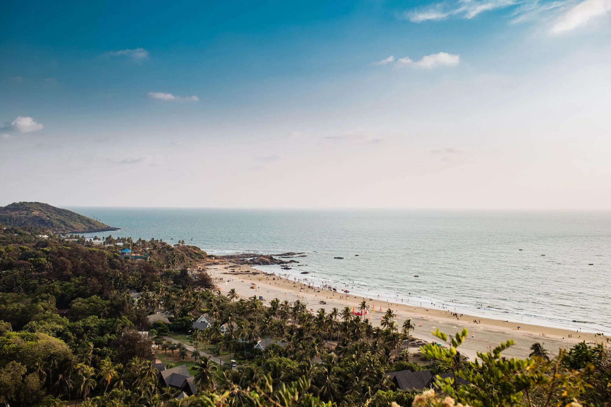 Palm-lined coastline and open sea in Goa, India